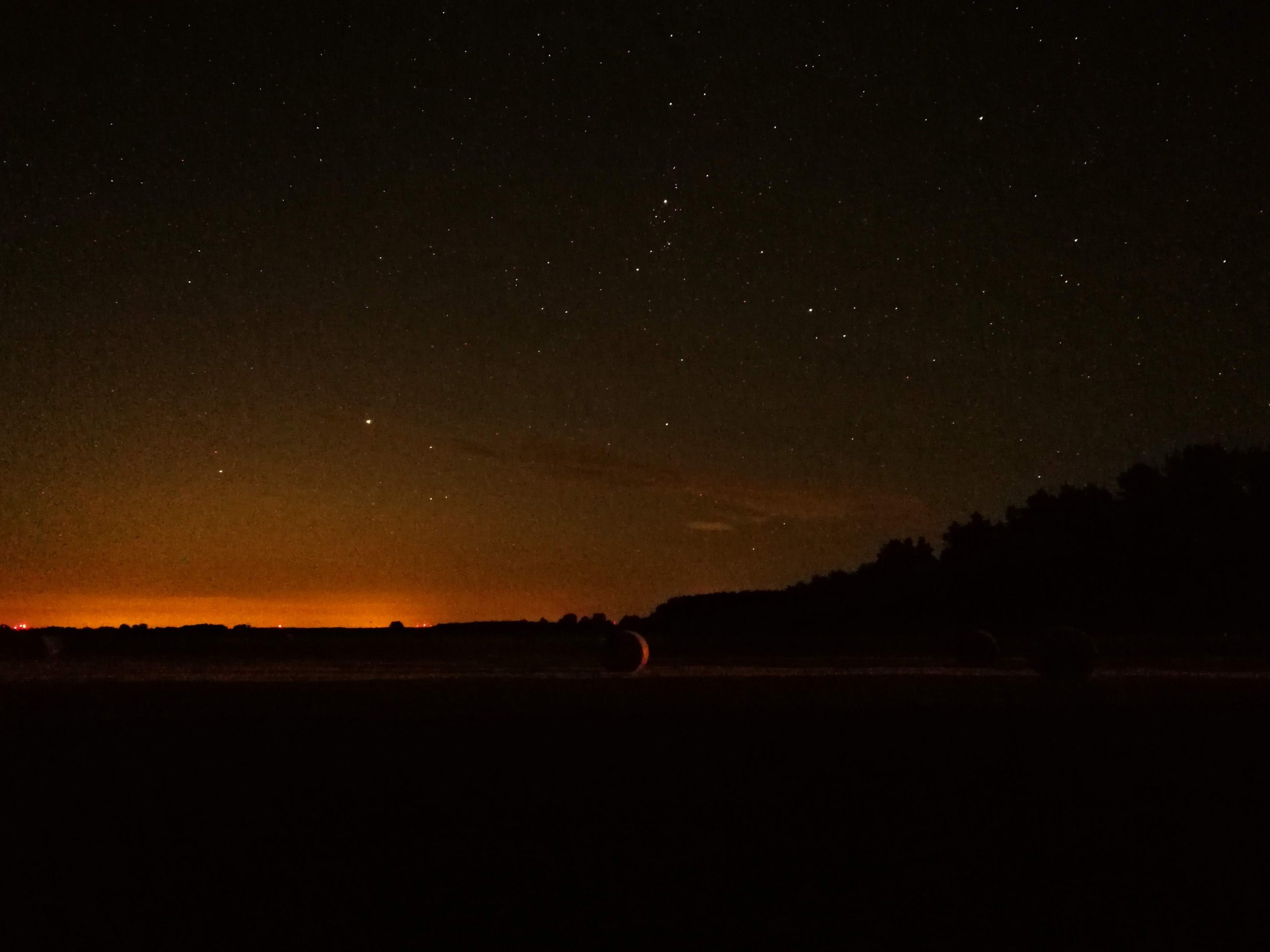 Cover Image for Neowise Comet