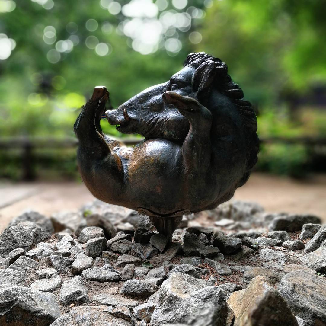 Cover Image for Der Eiserne Eber