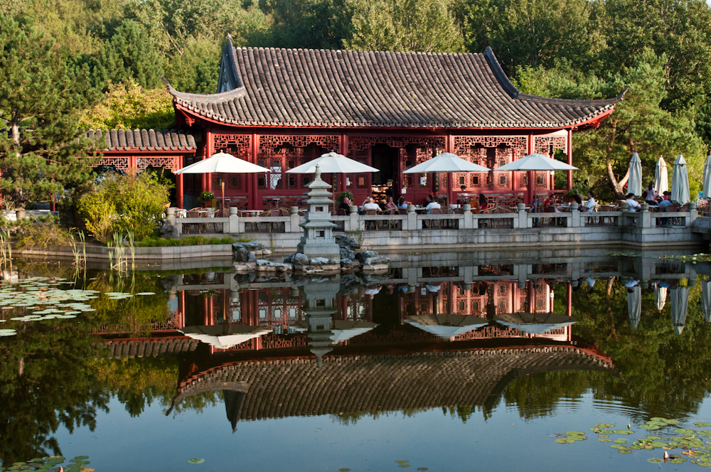 Cover Image for Gardens of the World