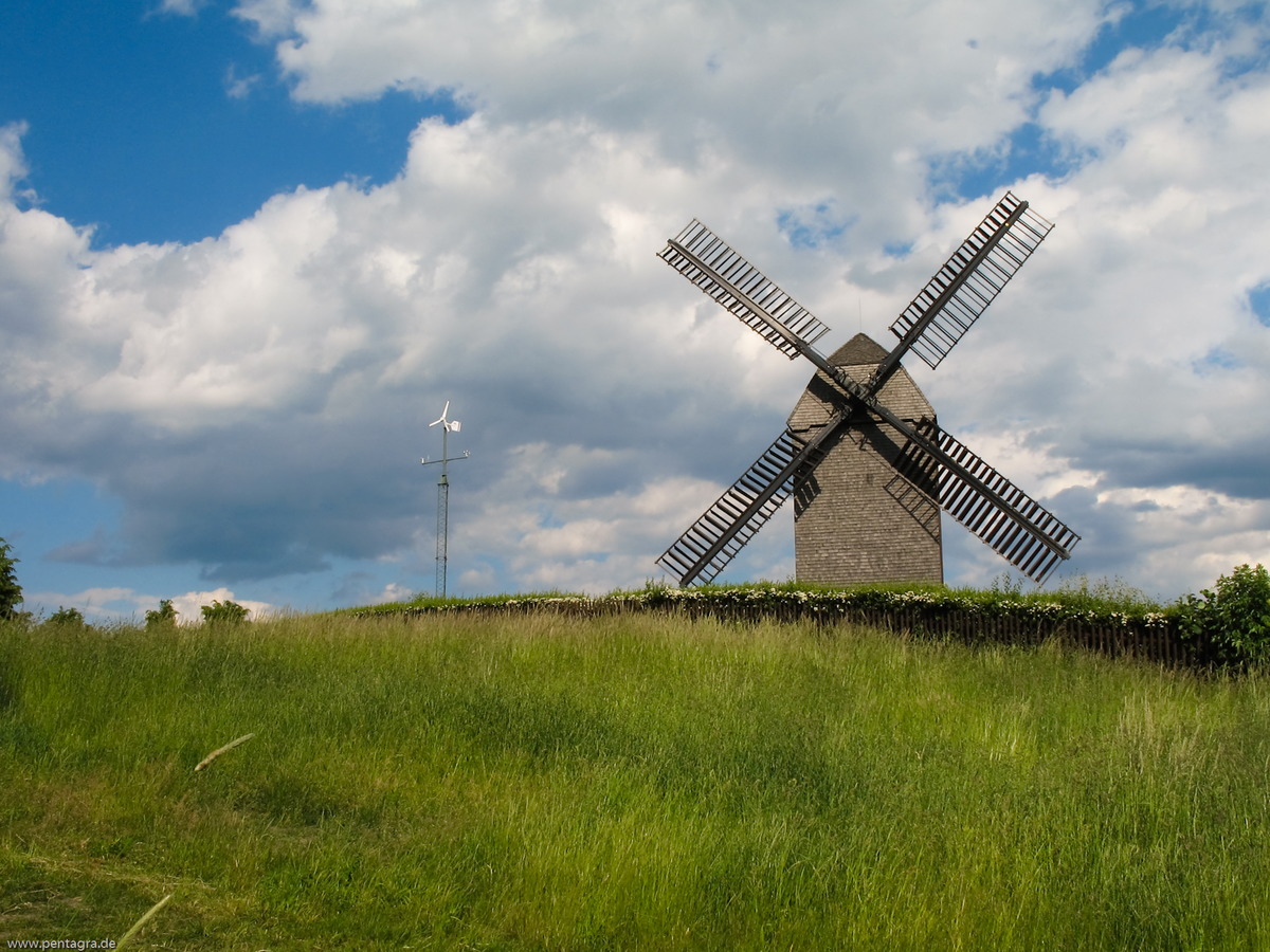 Cover Image for The Mill