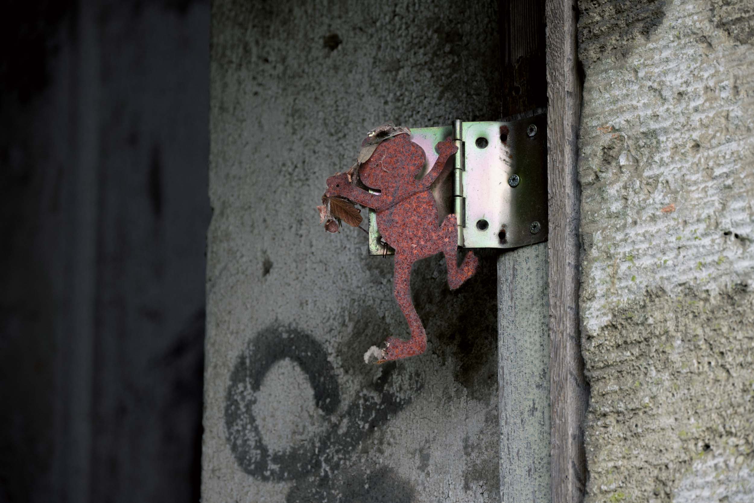 Der Frosch