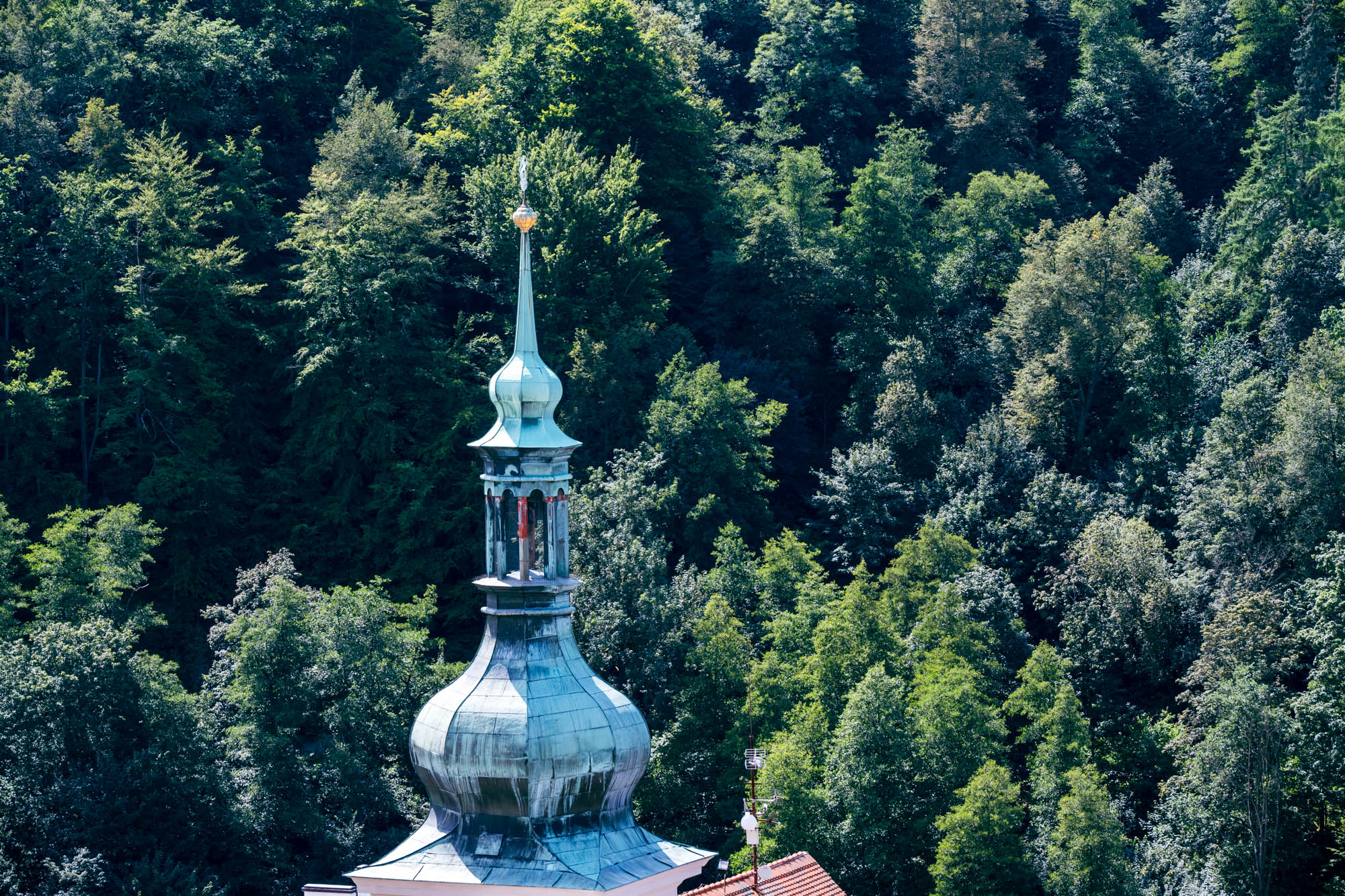 Das Dach und der Wald am Berghang. Ich liebe solche Aussichten, so etwas gibt es in Berlin nicht.