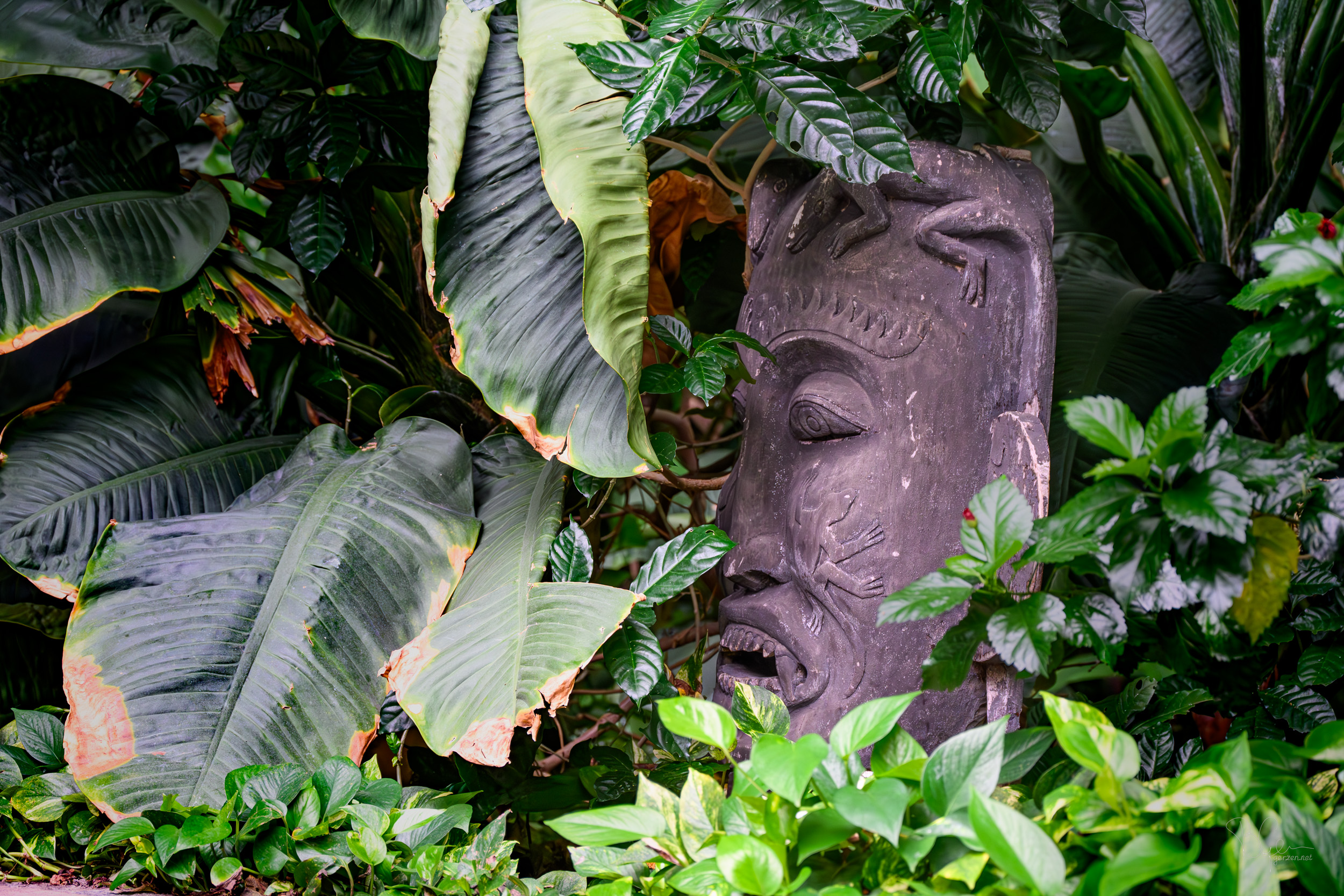 Cover Image for 2025, кадр сорок шестой